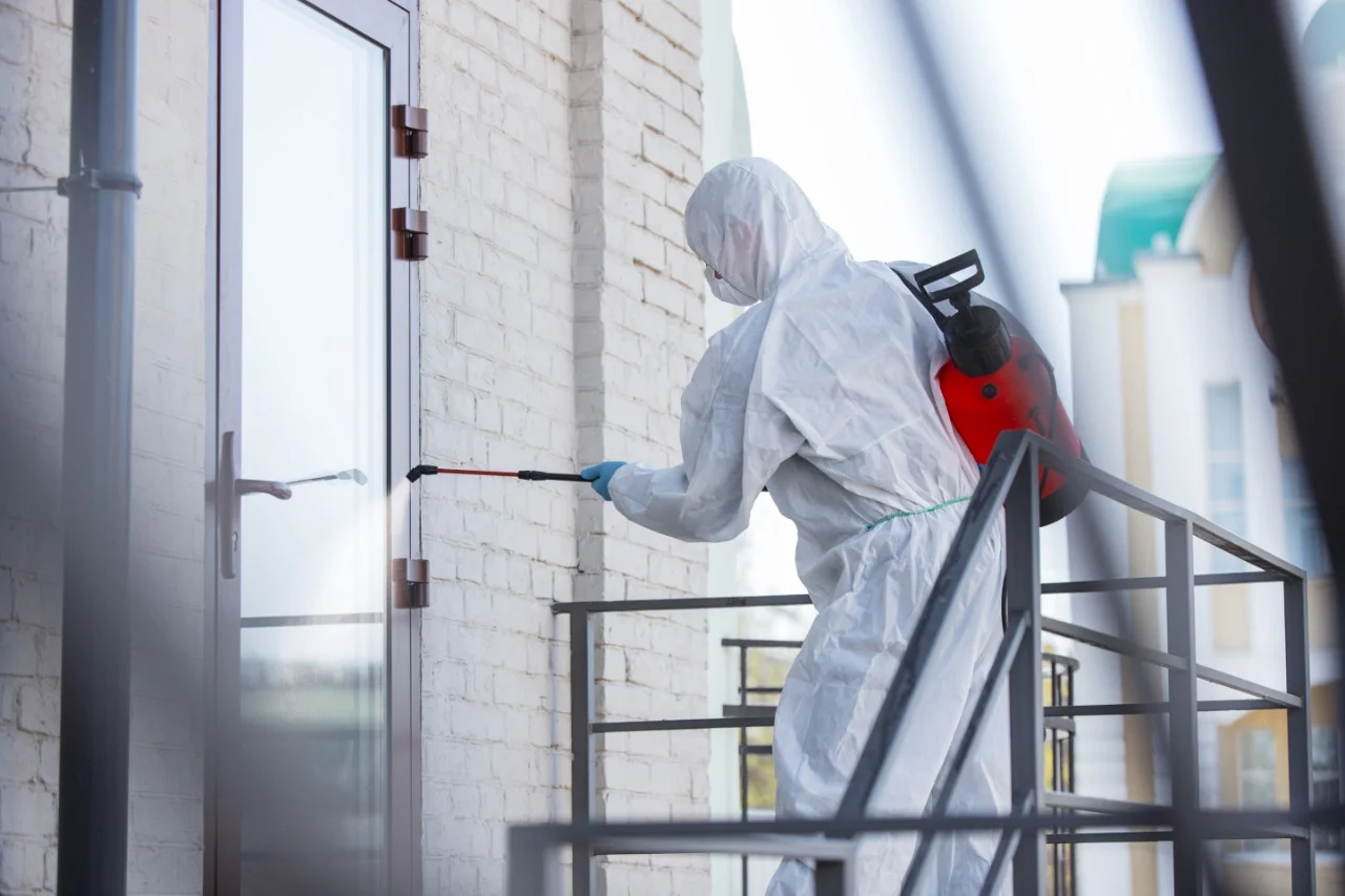 Disinfestazioni Cagliari è un’azienda professionale di Sardegna specializzata nei servizi di Disinfestazioni, Derattizzazioni e Sanificazione Disinfestazioni Cagliari è un’azienda professionale di Sardegna specializzata nei servizi di Sanificazione, Disinfestazioni e Derattizzazioni